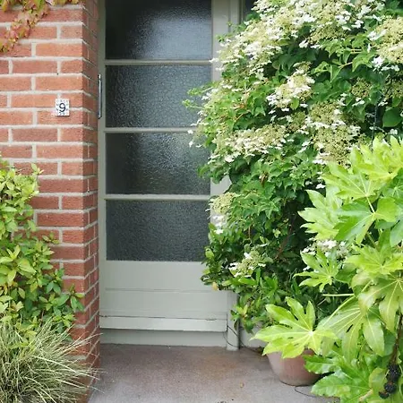 Monkstown Private House Homestay *