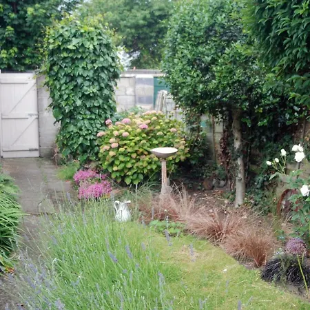 Monkstown Private House Homestay Дун-Лэаре